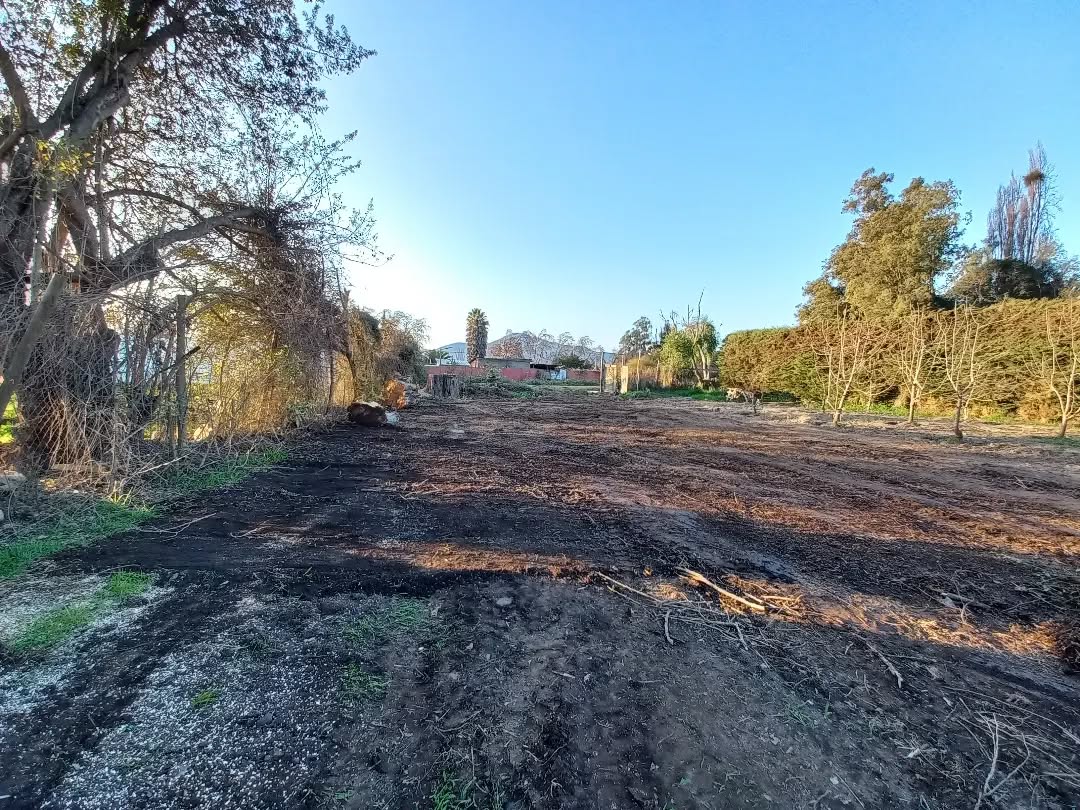 Retiro Especializado